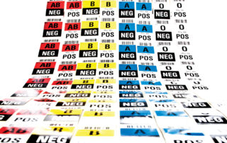 Blood Types Decoded: What Your Blood Group Says About You and Your Health