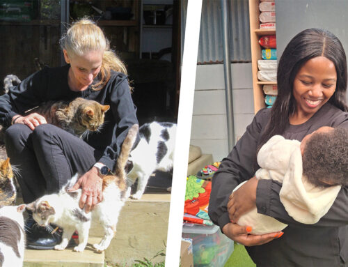 The Extra Drop: From Cribs to Kennels, Your Impact is Life-Changing